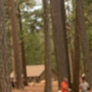 Meet your Posher, Shyla